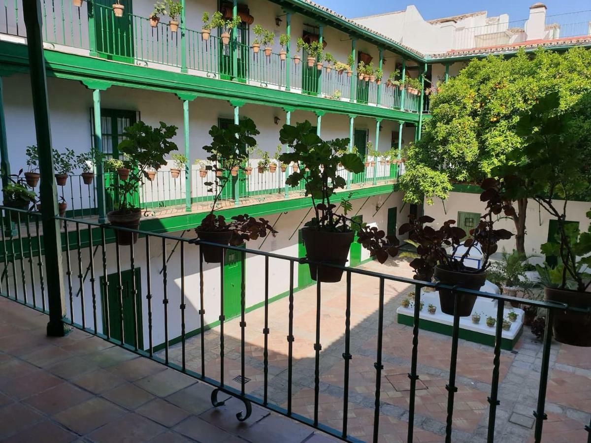 Apartamento Las Setas Sevilla Dış mekan fotoğraf