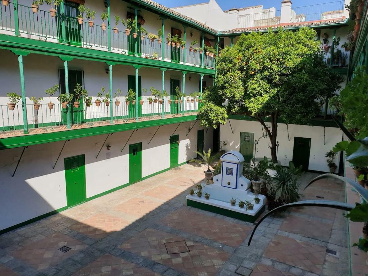 Apartamento Las Setas Sevilla Dış mekan fotoğraf