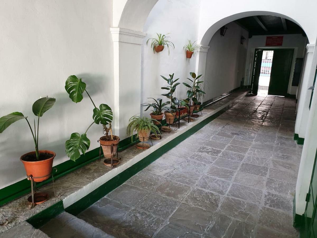 Apartamento Las Setas Sevilla Dış mekan fotoğraf