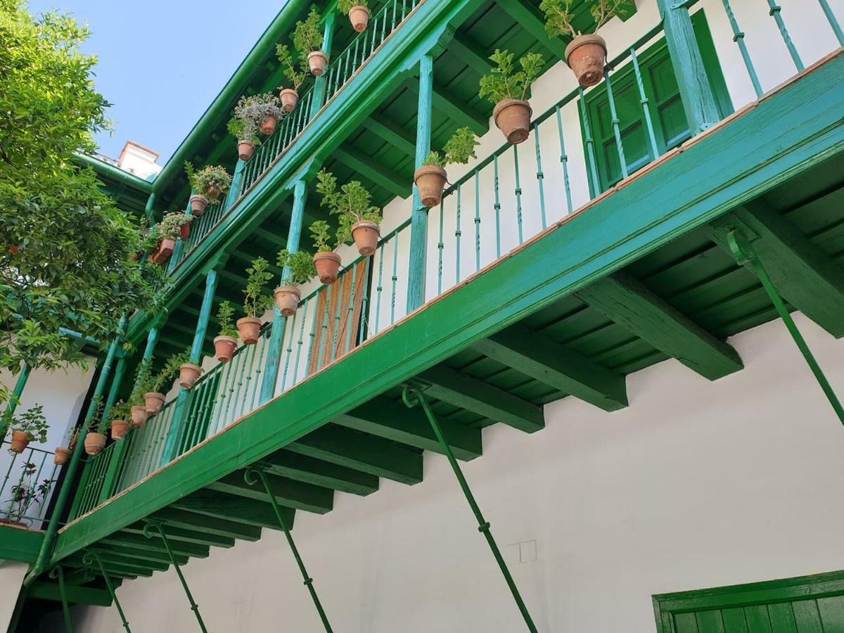 Apartamento Las Setas Sevilla Dış mekan fotoğraf