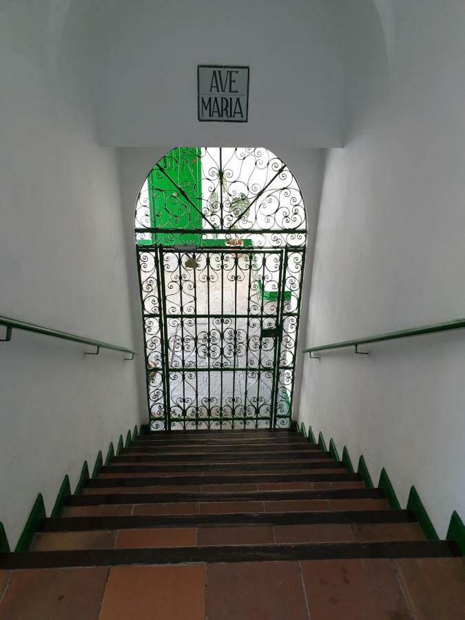 Apartamento Las Setas Sevilla Dış mekan fotoğraf