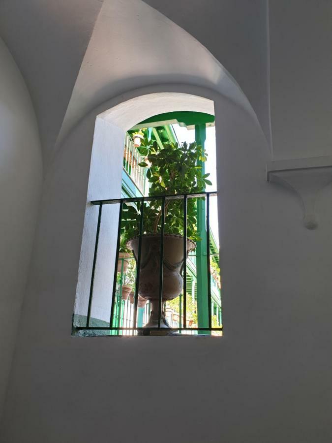 Apartamento Las Setas Sevilla Dış mekan fotoğraf